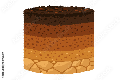 Detailed cross section showing different layers of soil profile with humus, subsoil, and bedrock