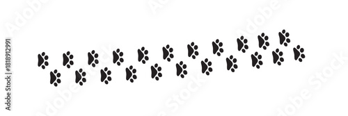 Seamless vector pattern of diverse animal paw prints, including dog, cat, and bear footprints, in a black silhouette design