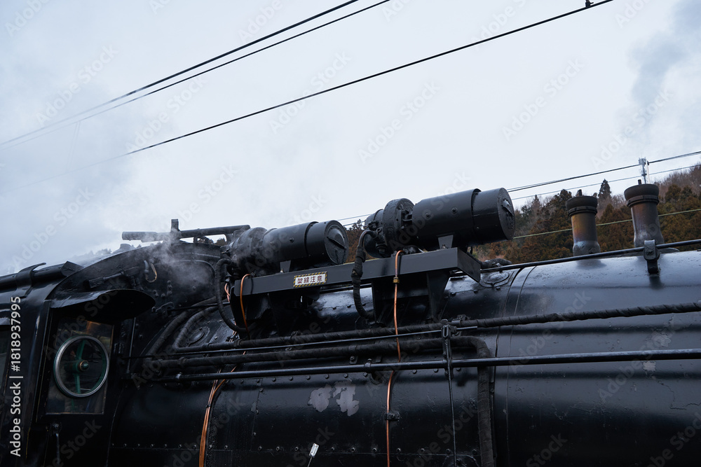 Naklejka premium 蒸気機関車 D51 498