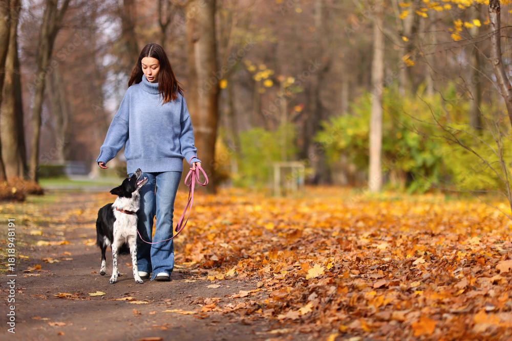 Fototapeta premium Woman walking her cute dog in autumn park, space for text