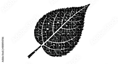 Adobe Illustrator Artwork