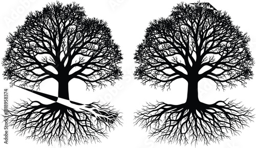 PrintIntricate Deciduous Branches and Exposed Roots Representing Life, Death, Winter, and Ecological Connectedness Graphics.