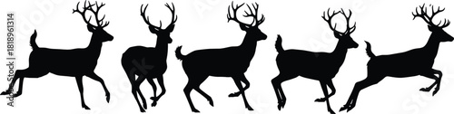 Five black silhouette deer with antlers in various walking and running poses white background