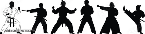 Martial arts silhouettes in various fighting stances and actions karate