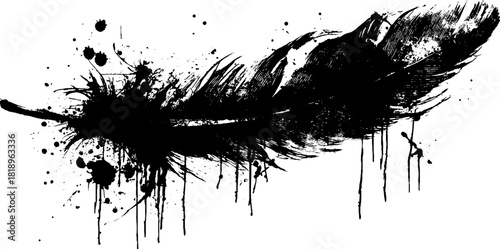Elegant raven feather silhouette with black ink splatter design
