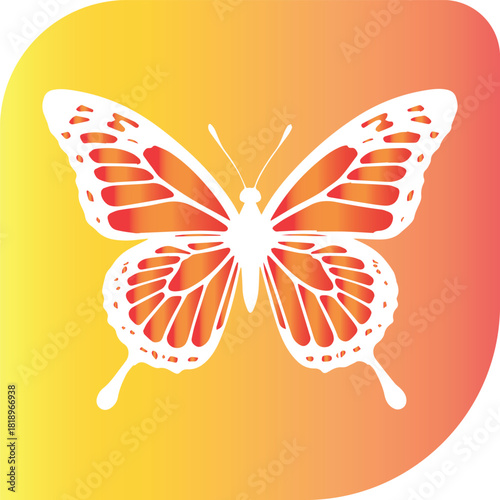 Butterfly on flower vector illustration with colorful wings and nature elements