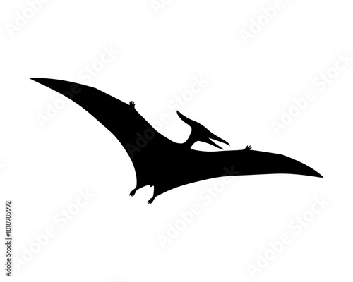 Pterodactyl Silhouette Prehistoric Flying Reptile Vector Illustration