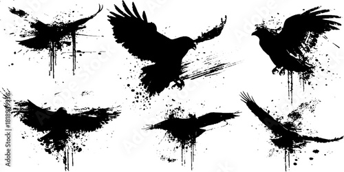 Dynamic black ink splatter hawk silhouettes set for artistic design