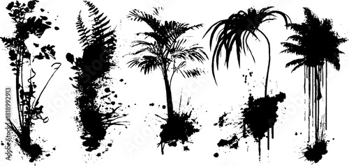 Black ink splatter jungle elements illustration for minimalistic tropical designs