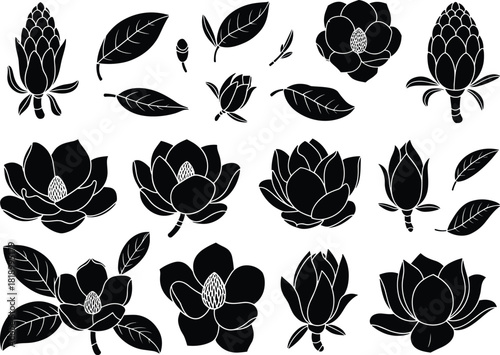 Collection of floral silhouettes featuring lotus and magnolia flowers, botanical blossoms, buds and leaves for natural design illustration