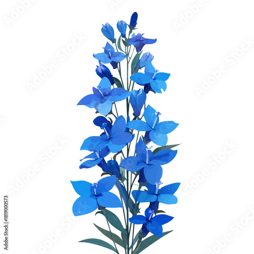Flat 2D Lobelia Flower vector illustration, icon graphic on white background