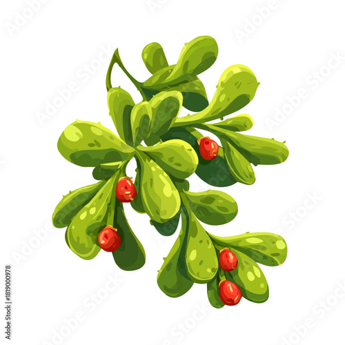 Flat 2D Mistletoe Cactus vector illustration, icon graphic on white background