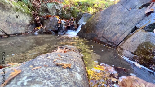 秋の落ち葉と美しい清らかな五介の滝