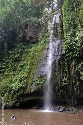 waterfall in the forest