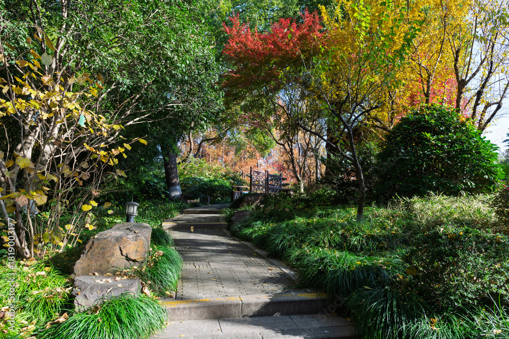 Fototapeta premium The Xinzhuang Park in Minhang District, Shanghai, China, is a picturesque sight in the golden autumn.