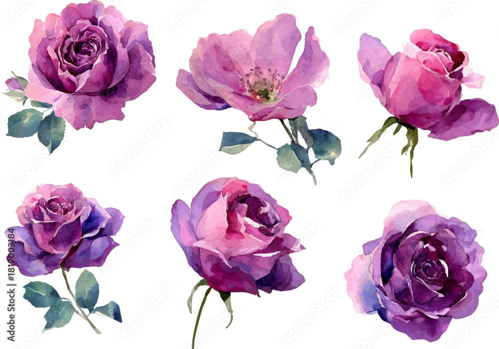 Fototapeta premium bouquet of roses