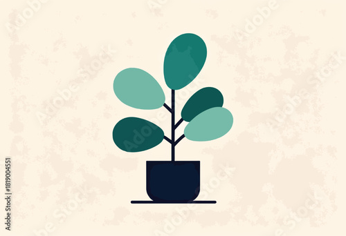 Illustration of a potted houseplant with oval leaves in varying shades of green, against a textured background