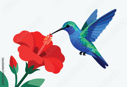 A vibrant illustration depicts a hummingbird sipping nectar from a large red hibiscus flower. The bird's blue wings are outstretched