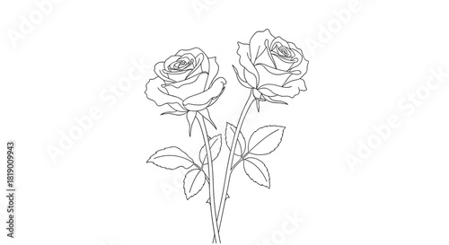 Two detailed line art roses with leaves, featuring a dashed outline effect, perfect for embroidery patterns or coloring book designs.