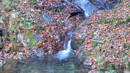 秋の落ち葉と美しい清らかな五介の滝
