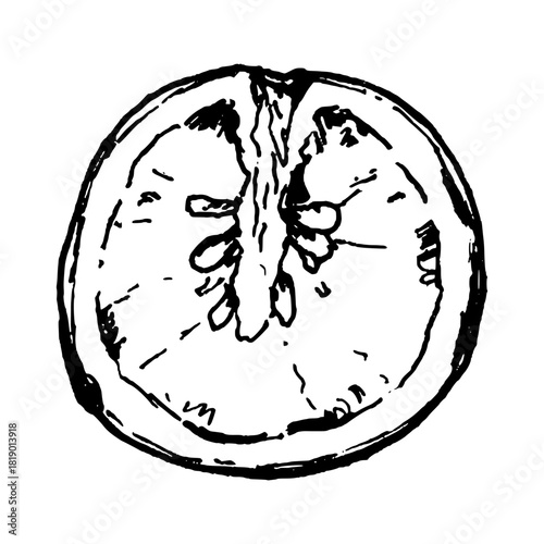 Black and white vector illustration of a tomato slice with seeds and inner chambers. Clean line art makes it suitable for ingredient sets, salad graphics, recipe layouts and various pizza applications