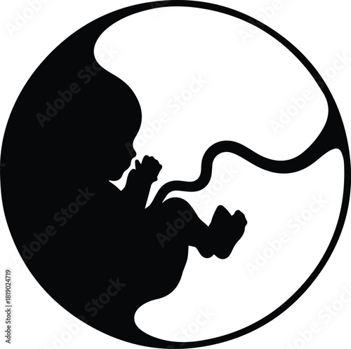 Symbolic silhouette of a developing human fetus cradled within a circular yin yang design representing balance and new life