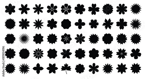 Collection of various black floral and star shapes isolated on