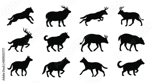 Set of diverse wild animal silhouettes in motion isolated on