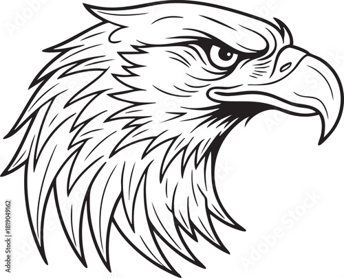Illustrative depiction of a formidable avian predator, showcasing its sharp features and intense gaze, symbolizing power, freedom, and majestic strength
