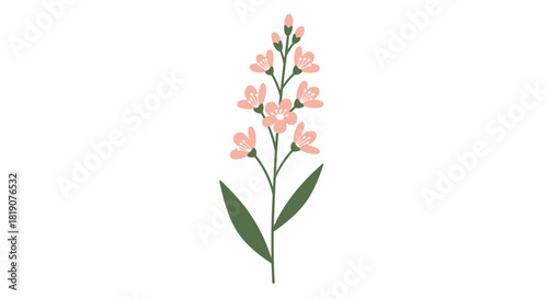 A delicate branch with small pink flowers and green leaves on a white background.