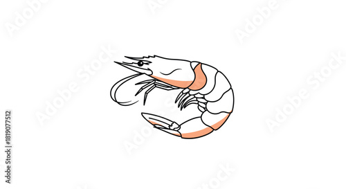 Simple cartoon illustration of a shrimp with light pink accents on a white background.