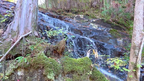 秋の落ち葉と美しい清らかな五介の滝