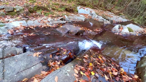 秋の落ち葉と美しい清らかな五介の滝