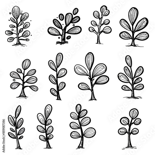 A vector collection of twelve abstract plant forms, hand-drawn in a sketchy doodle style for creative and organic nature designs