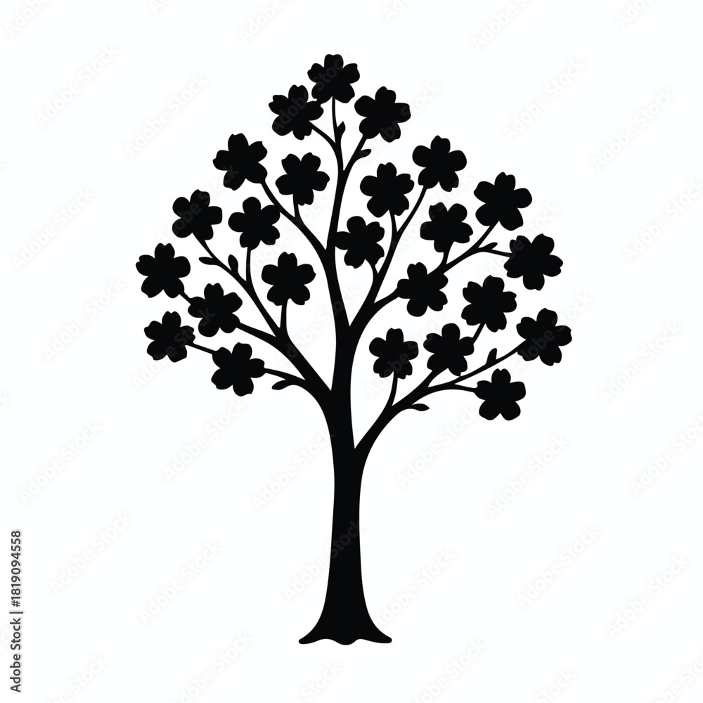 Fototapeta premium Cherry Blossom Branch Silhouette Isolated on White Background