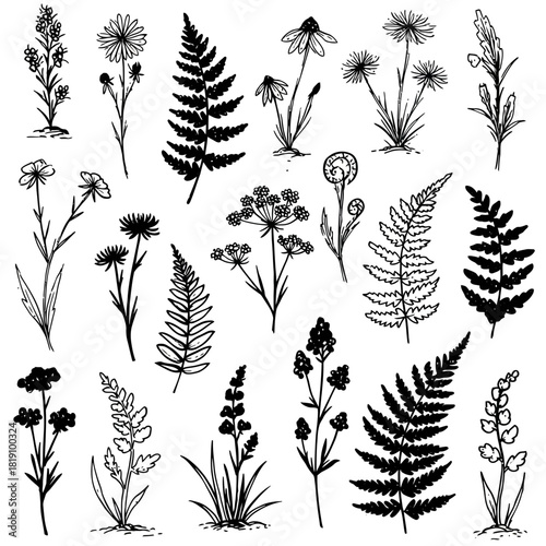 A collection of hand-drawn botanical doodles in black ink. This vector set includes various wildflowers, herbs, and fern illustrations
