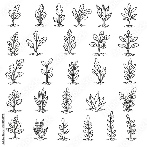 Collection of 25 hand-drawn minimalist plant doodles. Abstract botanical sketches and sprout line art illustrations set in a vector format