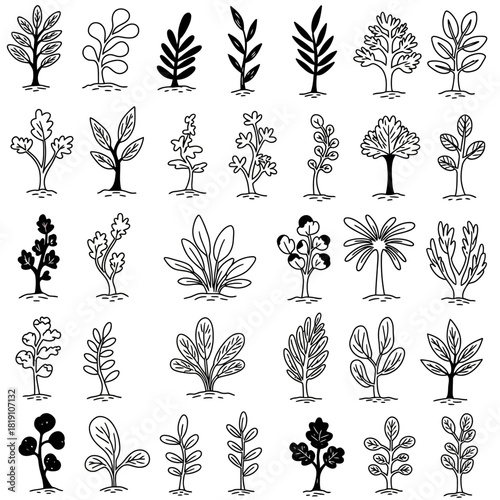 A diverse collection of hand-drawn minimalist plant and tree doodles. This vector set features abstract botanical line art illustrations
