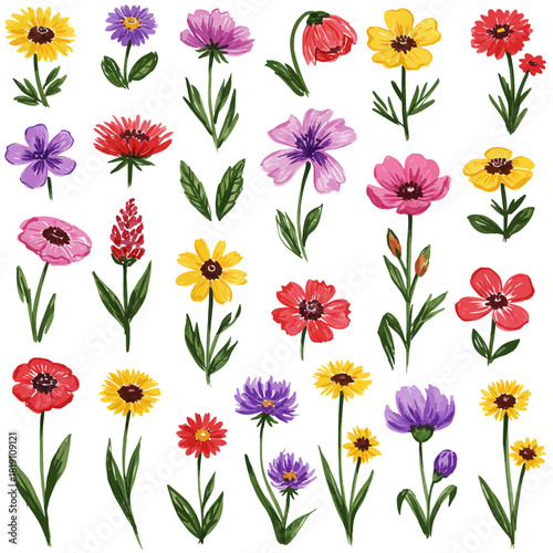 A vector collection of hand-painted watercolor wildflowers with a rough brush texture, featuring a diverse group of botanical illustrations