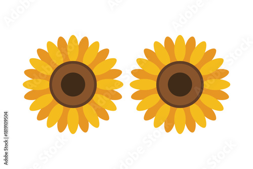 Two bright yellow sunflowers with brown centers are displayed against a plain white background.