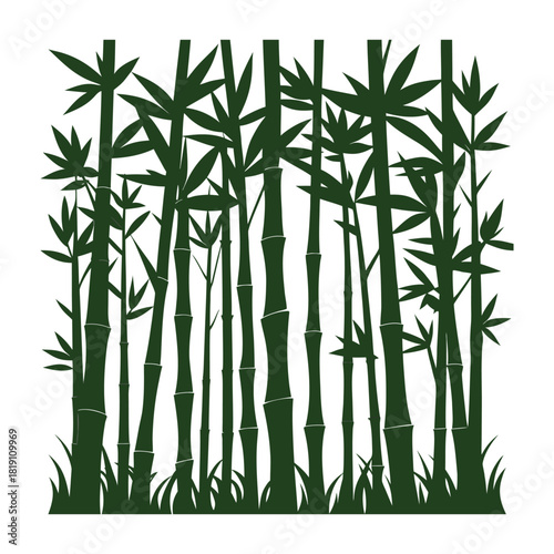 Tall green bamboo stalks and leaves vector illustration for nature concepts. Vector