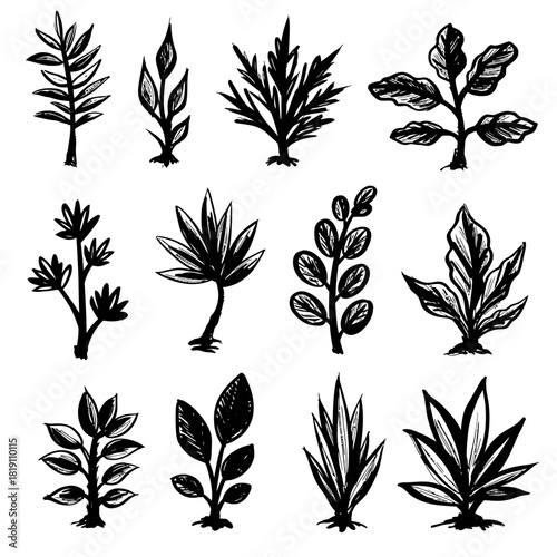 A vector collection of twelve hand-drawn abstract plant and foliage icons. A minimalist set of botanical illustrations with rough brush strokes
