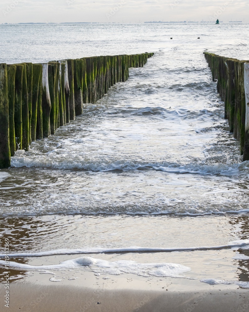 Fototapeta premium breakwaters wooden piles protect the coast
