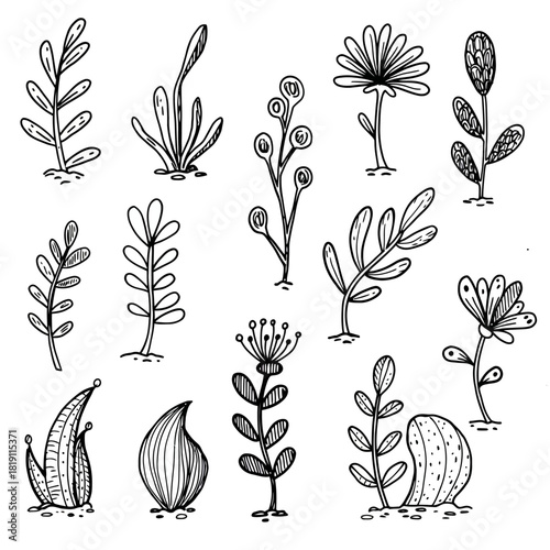 An assortment of twelve simple hand-drawn plant and flower forms in a whimsical doodle art style, isolated on a white background as a vector set
