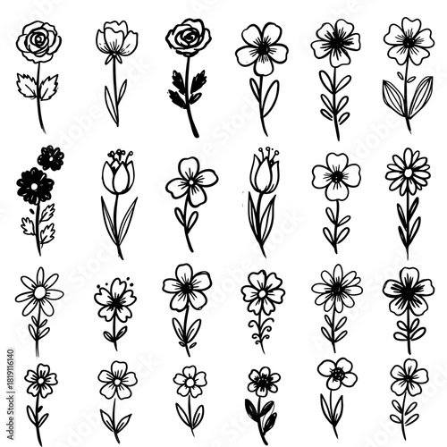 A charming vector assortment of hand-drawn botanical flower illustrations in a minimalist doodle style, isolated on a white background