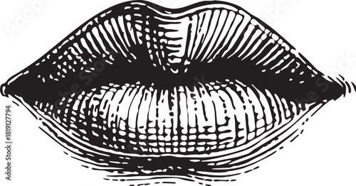 Detailed black and white linocut etching illustration of the human lips ideal for medical, scientific and pharmaceutical packaging designs focused on anatomy, diagnosis and pain relief healthcare prod