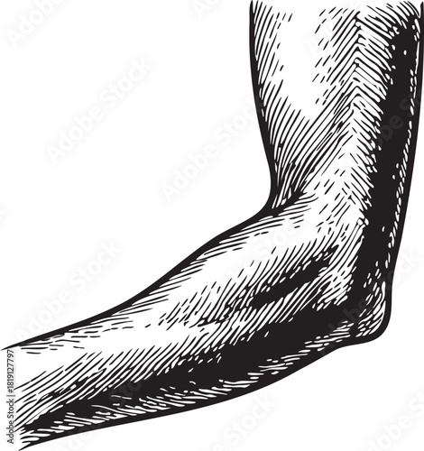 Detailed black and white linocut etching illustration of the human elbow joint ideal for medical, scientific and pharmaceutical packaging designs focused on anatomy, diagnosis and pain relief healthca