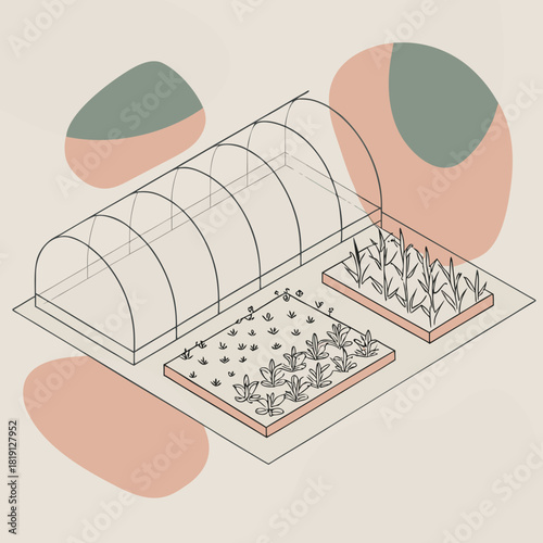 Greenhouse and garden beds with growing plants