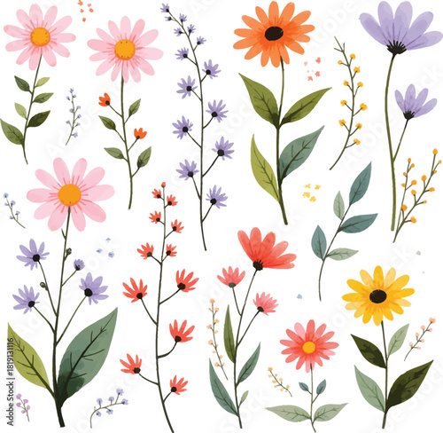 Watercolor flower collection in pink orange yellow red and purple hues