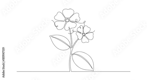 Continuous line art of two flowers with leaves, simple botanical illustration, EPS vector